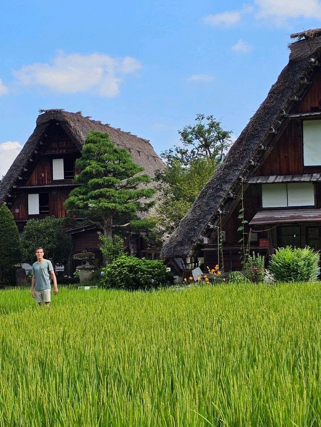 🏔️ Takayama, Shirakawa-go or Kanazawa? Which Japanese Alps Gem Should You Visit?