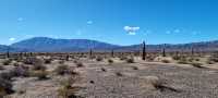 Salta surrounding and Los Cardones National Park