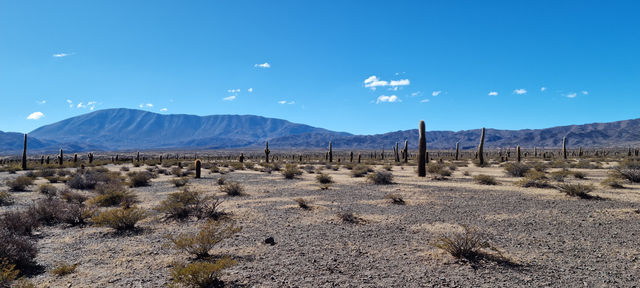 Salta surrounding and Los Cardones National Park