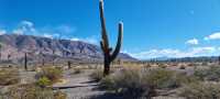 Salta surrounding and Los Cardones National Park