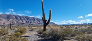 Salta surrounding and Los Cardones National Park