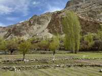 Turtuk village - hidden gem of Nurba valley