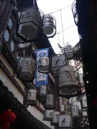A Day at Shanghai’s Yu Garden