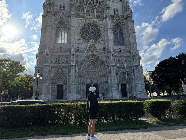 Amazing Vienna !!