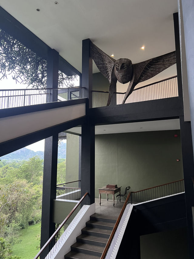 🇱🇰 斯里蘭卡：坎達拉馬遺產酒店（Heritance Kandalama） 🦉