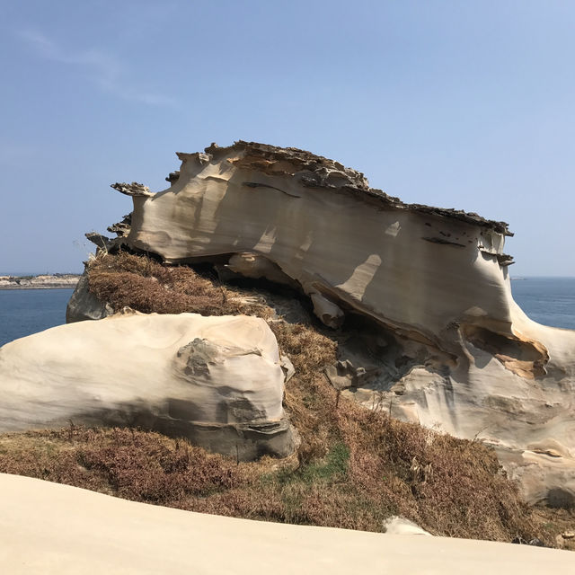 Taiwan🪨Yehliu Geopark: Taiwan's Wonderland by the Sea! 🌊