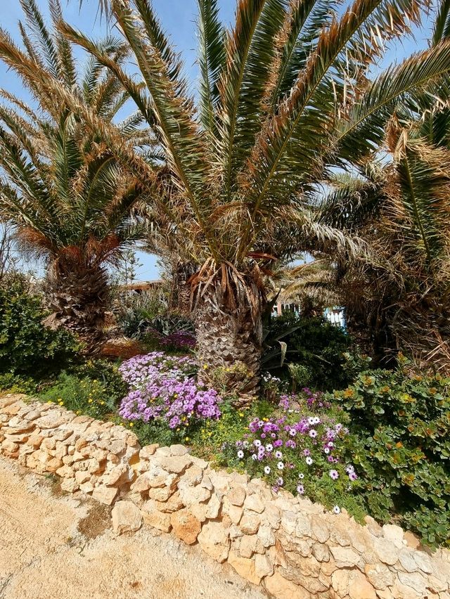 Visiting Popeye Village in Malta: A Cartoon Come to Life