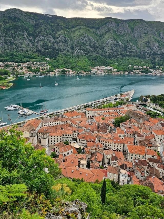 🏰 Climb to the Sky: A Traveler’s Guide to Kotor Fortress