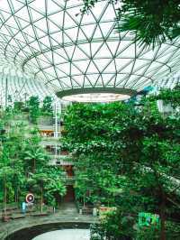 🇸🇬 Greenhouse Gardens – Singapore