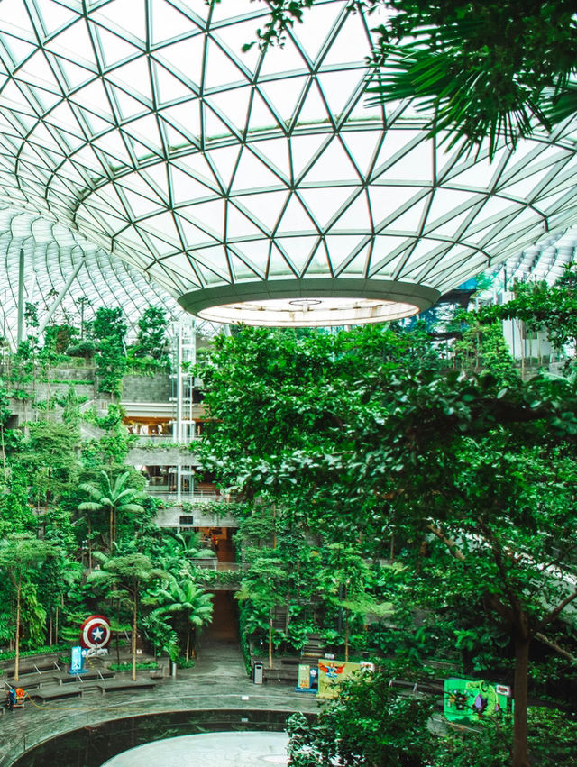 🇸🇬 Greenhouse Gardens – Singapore