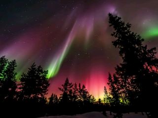 Enjoy the northern light experience @  Finland!