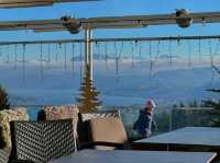 🌄 Affoltern’s Skybound Escape: From Fondue to Flying 🌌🪂