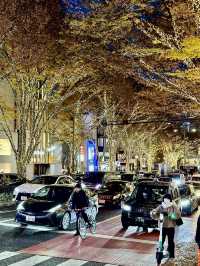 Exploring Tokyo’s busiest, most iconic districts means you’re in for a total sensory overload! 