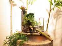 Shanghai | The cosy tea house with brilliant working space 