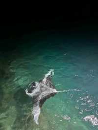Why Visit Sun Siyam Olhuveli, Maldives?