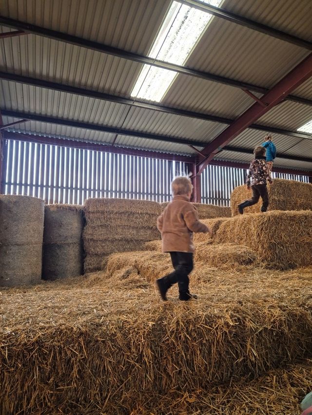 The Barn at Newmill, Dolphinton – A Fun, Farm-Filled Family Day Out