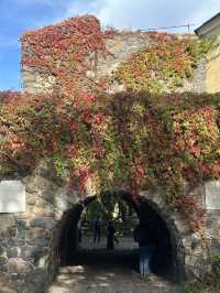 🇫🇮 🍂🍁Suomenlinna might be you next autumn destination