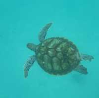 ๐ฒ๐พ Malaysia ๐๏ธ Redang Island Magic Escape ๐