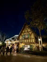 Шанхайский Диснейленд ✨