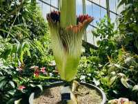 Royal Botanic Gardens, Kew