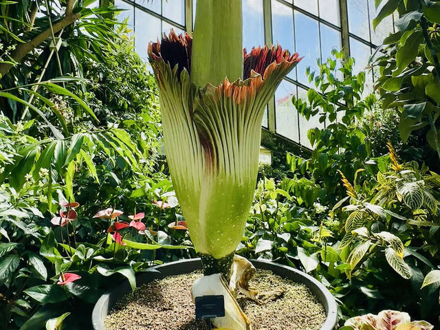 Royal Botanic Gardens, Kew