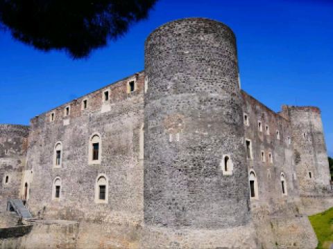 Castle Magic Awaits🏰