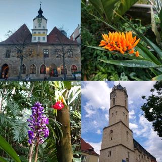 Jena in Germany, beautiful botanical garden
