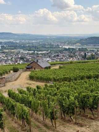 🍇 Discover the Peaceful Beauty of St. Hildegard’s Abbey Above the Rhine Valley ✨