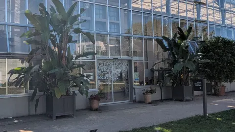 보태니컬 가든 속 열대 낙원 🌴 — traveler post in 투르