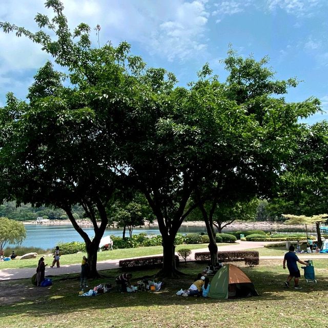 迪欣湖 野餐啦