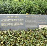 打卡廣州志願者公園