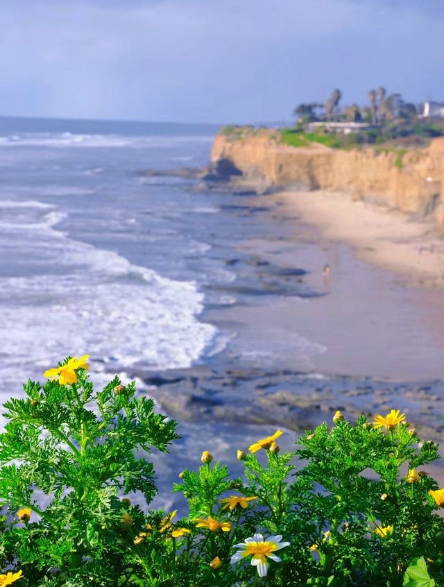 Hiking route, walking along the cliff flower sea may bring you peace...