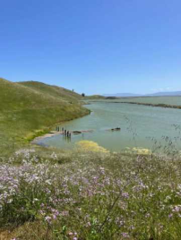 Enjoy the spring scenery, hike in the Wild Wolf Mountain area park in April.