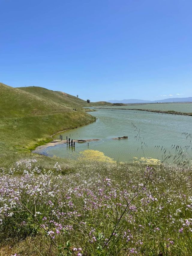 Enjoy the spring scenery, hike in the Wild Wolf Mountain area park in April.