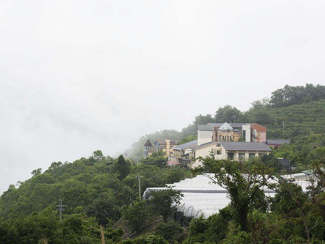迷霧清境