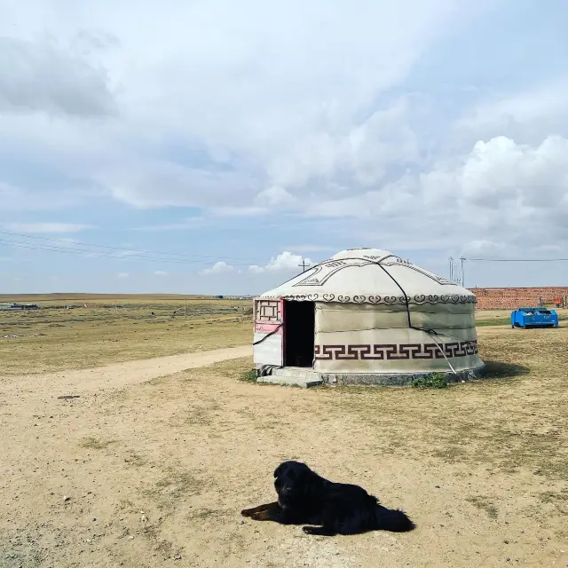 Serenity in Grasslands
