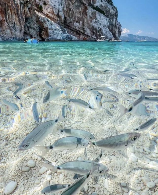 意大利撒丁尼亞🏝️世一陽光與海灘