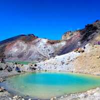 Mount "DOOM" In Its Glory | Tongariro 