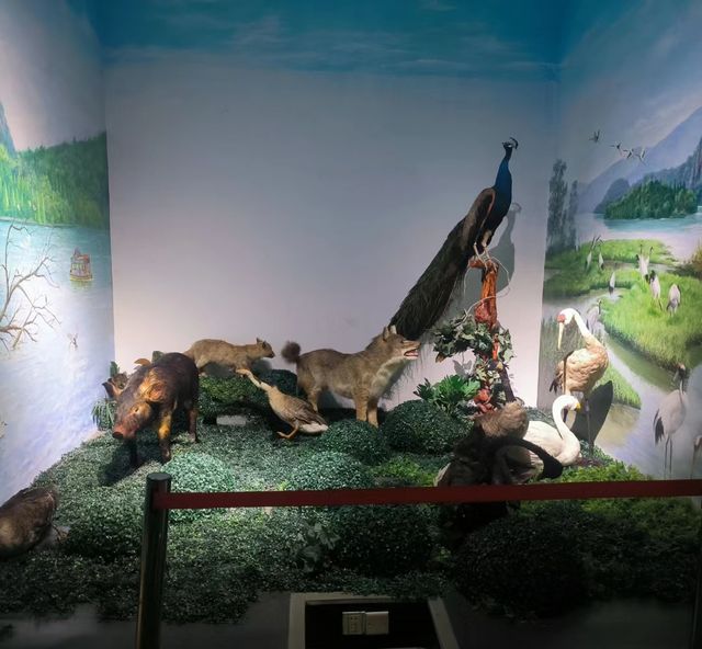 又發現一悠閒好去處，可觀鳥、有沙地，能知識科普…