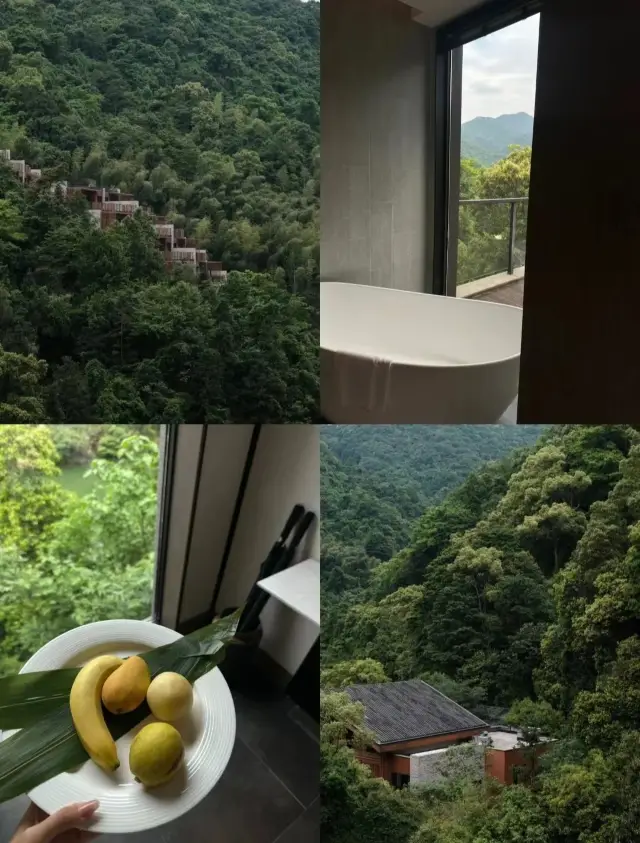 산소 숲·닝하이 안란‖스트레스에서 벗어나는 좋은 장소!