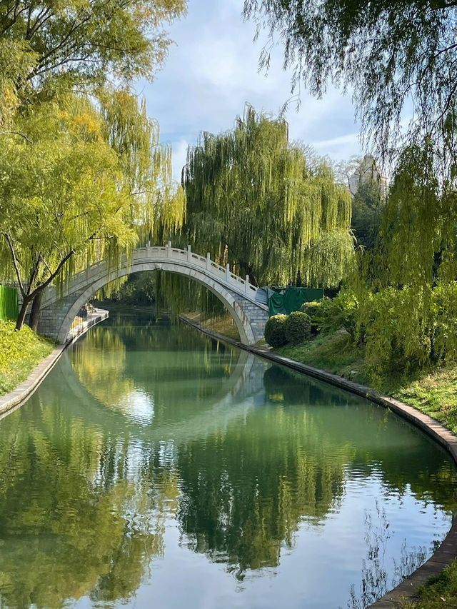 北京紫竹院公園深秋美的像一幅畫