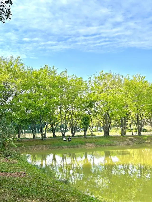 深圳で絶対に行くべき公園！