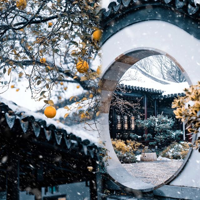 南京|瞻園和秦淮河畔，雪前雪後的景象，這才是人間仙境吧…