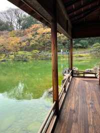 🎈高松栗林公園，一個小眾但是充滿趣味的地方，這裡遊客較少、酒店價格實惠、當地居民淳樸友善，是一個非常好的旅遊目的地