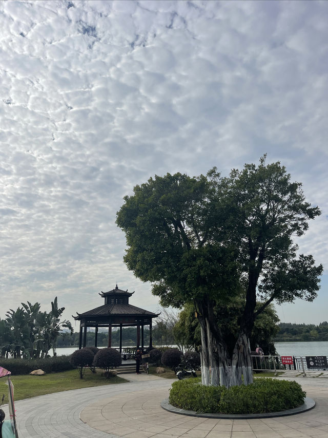 華陽湖水上森林公園