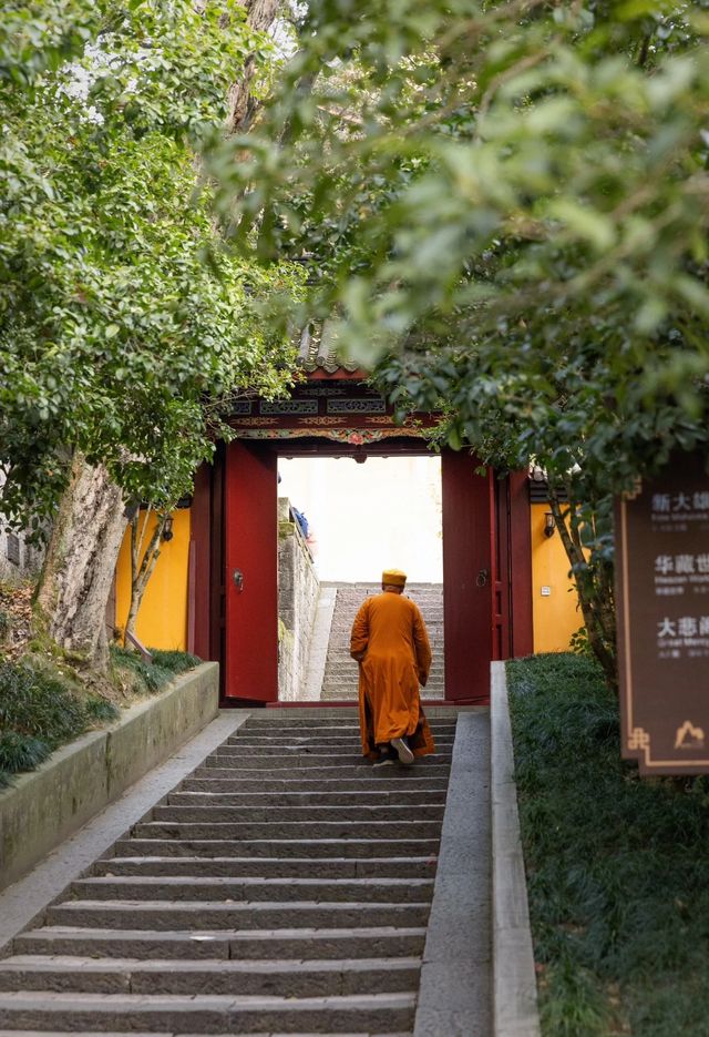 高鐵直達江南第一大佛寺拍周生如故同款避開人擠人