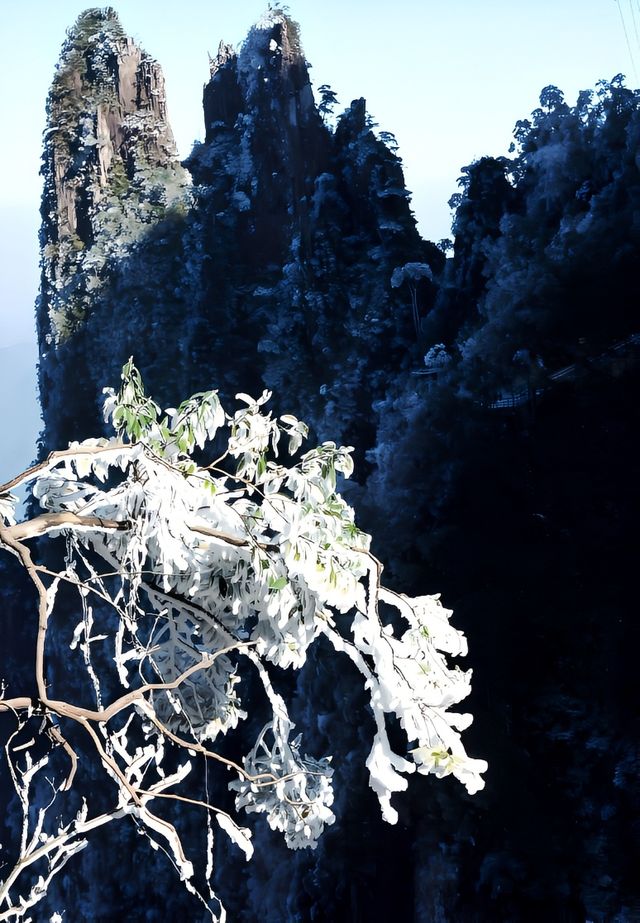 廣東看雪還要去北方？附近就有，簡直不要太美了