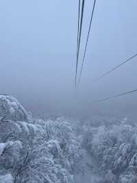 秘境藏王山：探尋複雜路線中的絕美之旅！
