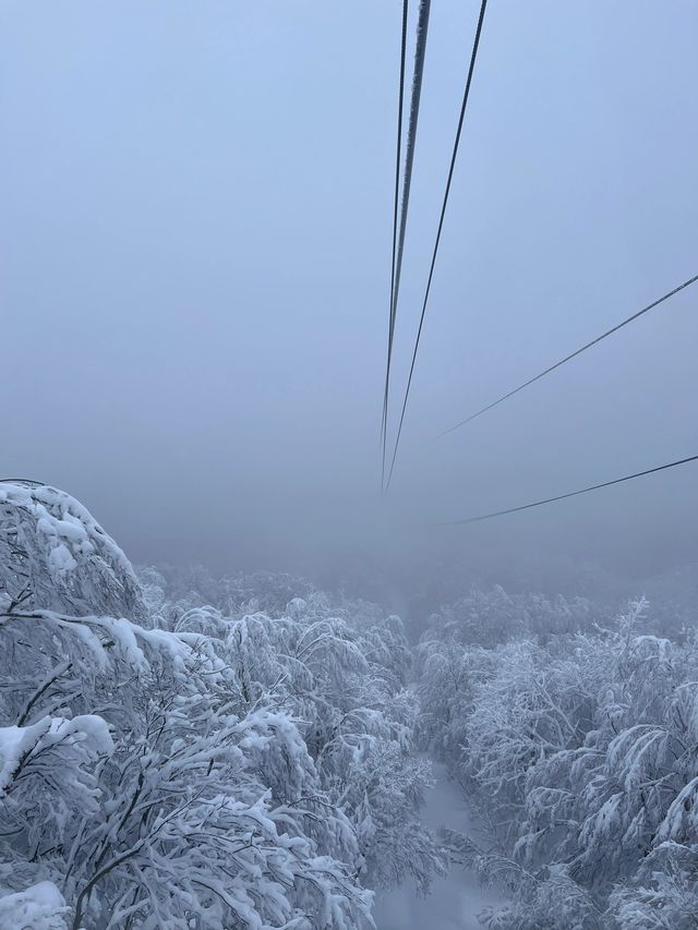 秘境藏王山：探尋複雜路線中的絕美之旅！