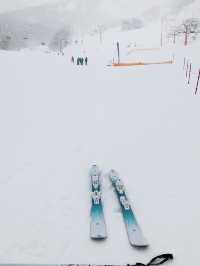 粉雪天堂比羅夫滑雪場